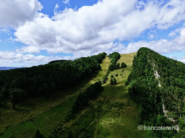 A forested ridge climbing to a rounded summit, with a wedge of sunlit pasture cutting up through dark beech and spruce woodland and pale limestone cliffs breaking out of the trees on the right flank. Deep summer greens under a blue sky stacked with bright cumulus, hazier ranges just visible on the far left horizon. Aerial drone photograph over WASSERFALLEN, Switzerland from 47.376615861813, 7.703604698181153 on 2025-07-22. Exposure 150 · f1.8 · 9mm.