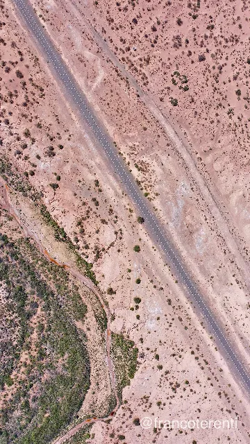 Straight down over dry desert scrub, a two-lane asphalt road cutting diagonally across pale pink sand and gravel dotted with dark bushes, with a rust-coloured dry stream channel and denser green vegetation along a low ridge at lower left. Aerial drone photograph over SAN JUAN, Argentina from -31.5413824811742, -68.49769592285158 on 2024-12-21. Exposure 100 · f4 · 10mm.